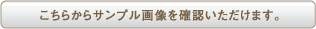 �����炩��T���v���摜���m�F���������܂��B